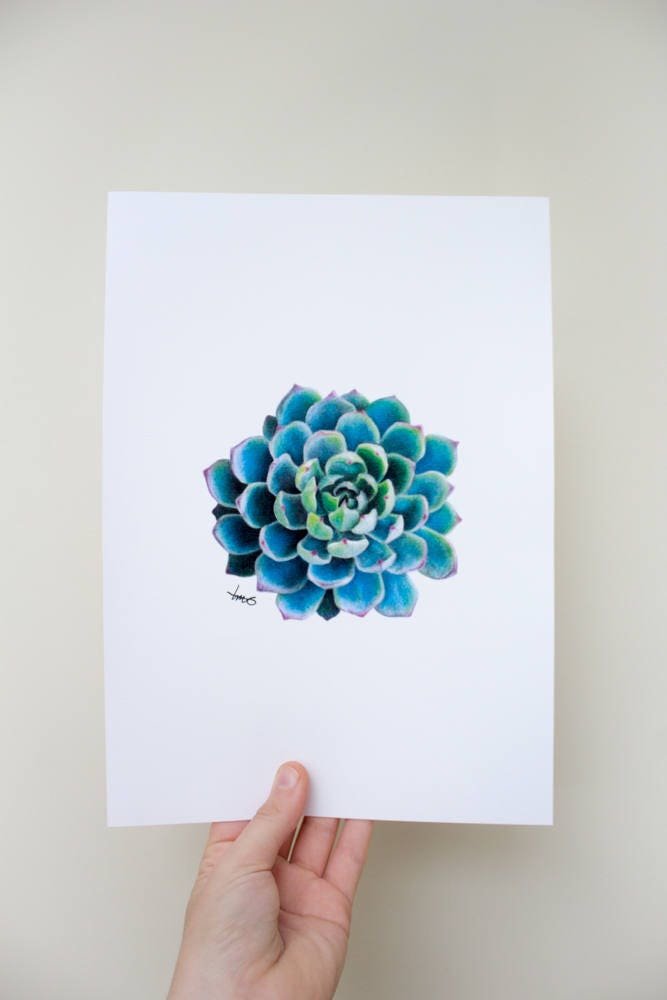 https://i.etsystatic.com/12069273/r/il/978b5c/1408633679/il_fullxfull.1408633679_lol2.jpg