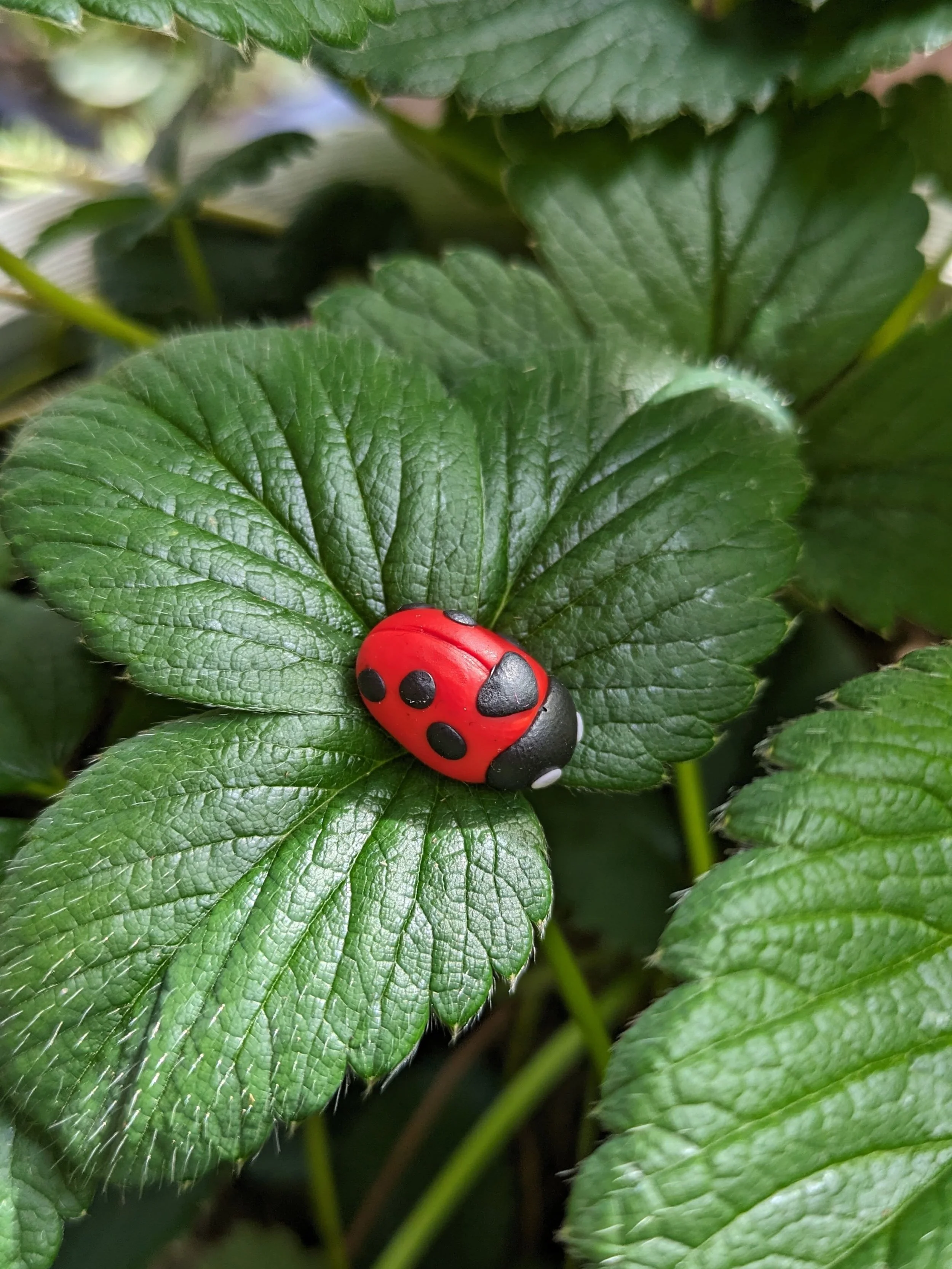 Oh look, you found a ladybug! 🐞 

One of my oldest earring designs is having a comeback! I hadn't made a batch of these for ages, but I've recently received 2 orders for them 🥰 

It reminded me just how cute they are and that I definitely need to m