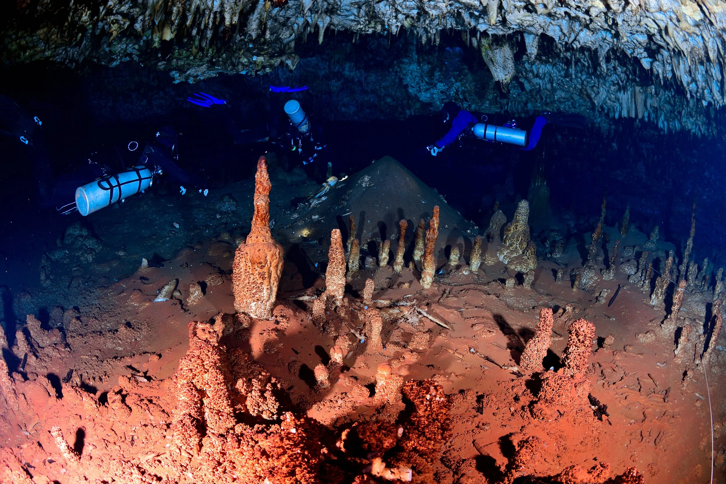 DSC_4561.jpg
