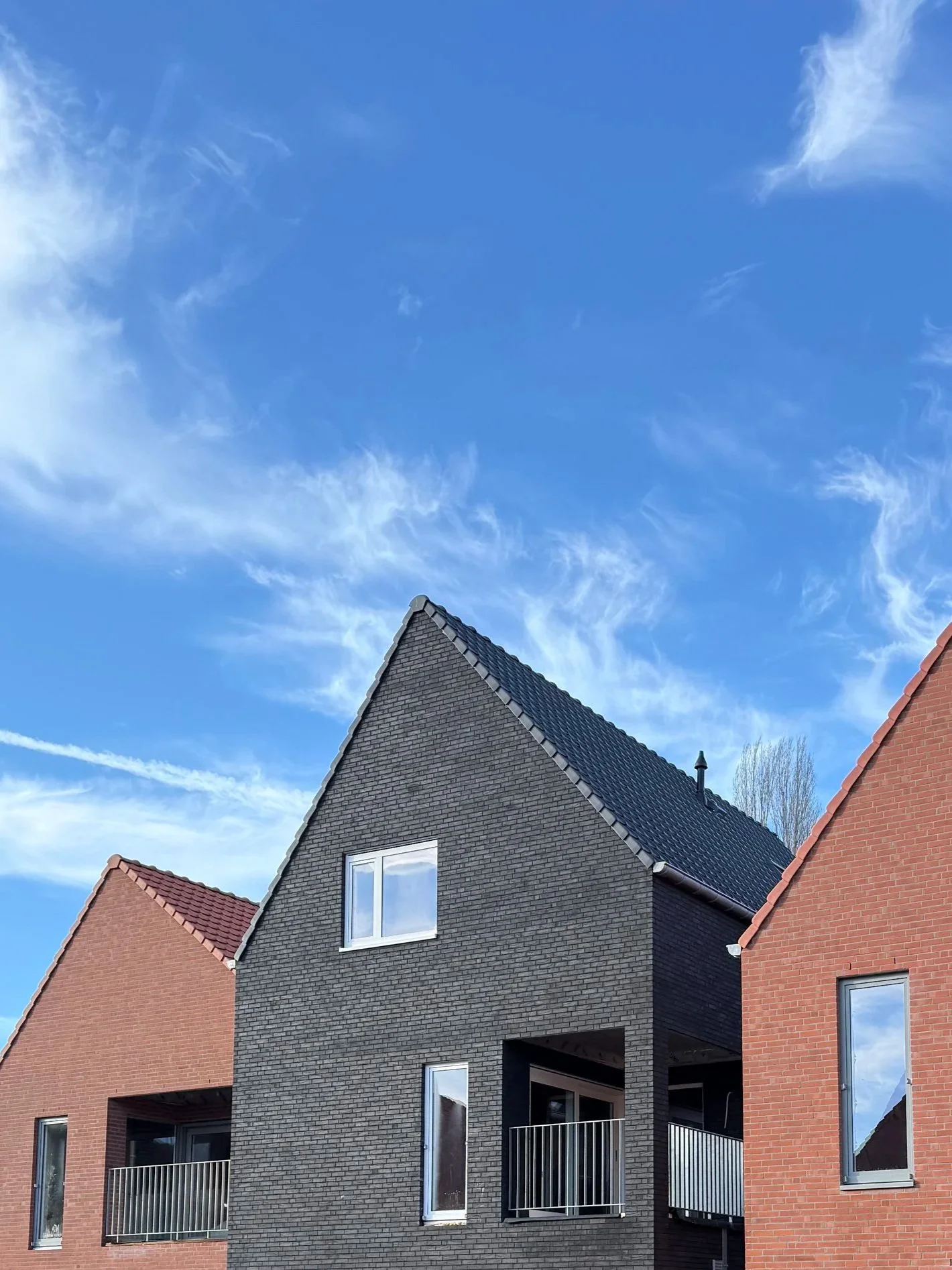 Collectieve huisvesting