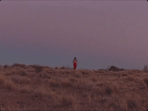 A person walking alone on a grassy plain at dusk or dawn, with a clear sky in the background.