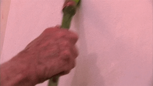 Painting green.gif