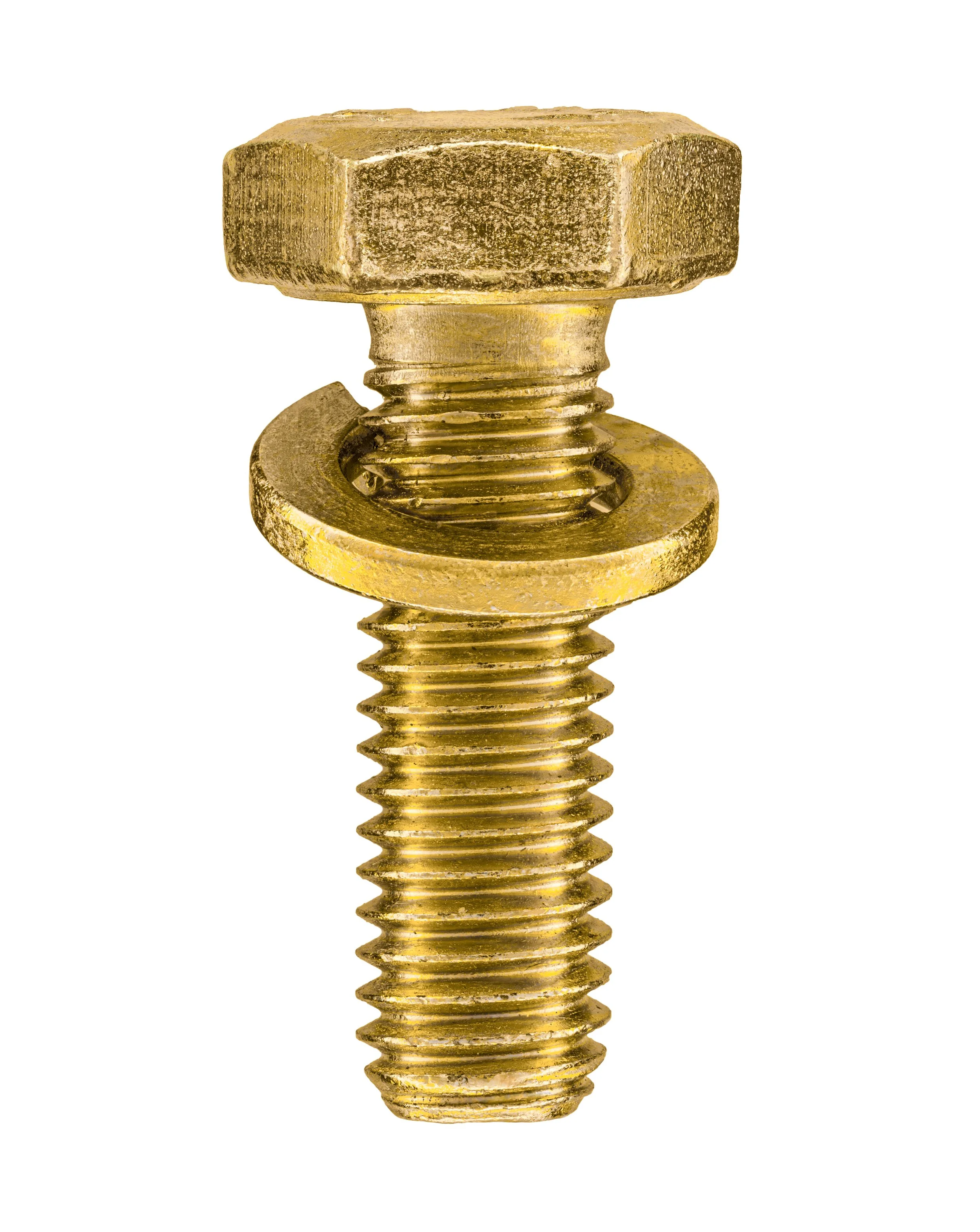 2023-09-20_final1-TESTE-FUNDO REMOVIDO.jpg