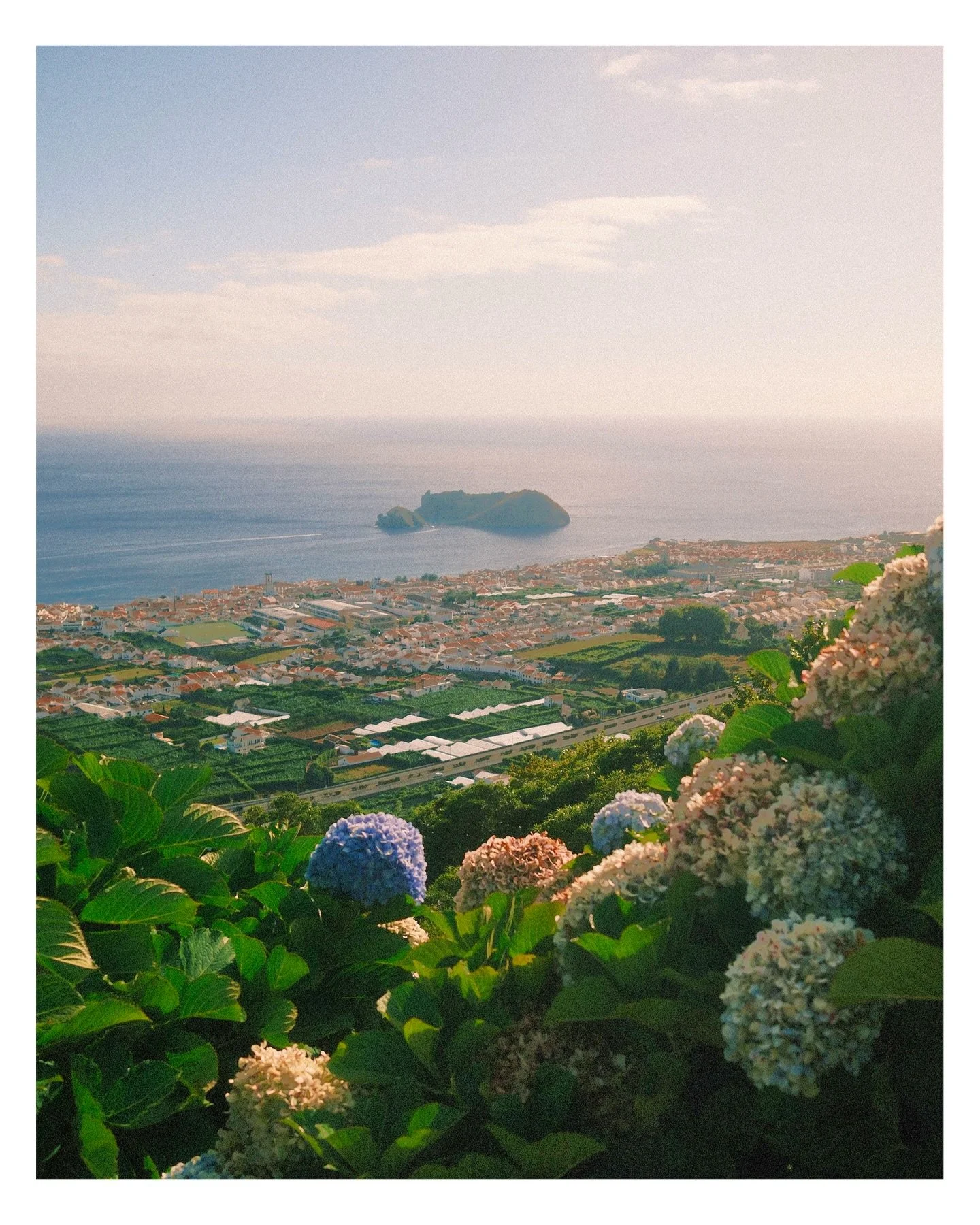 The wonders of the Azores 💚