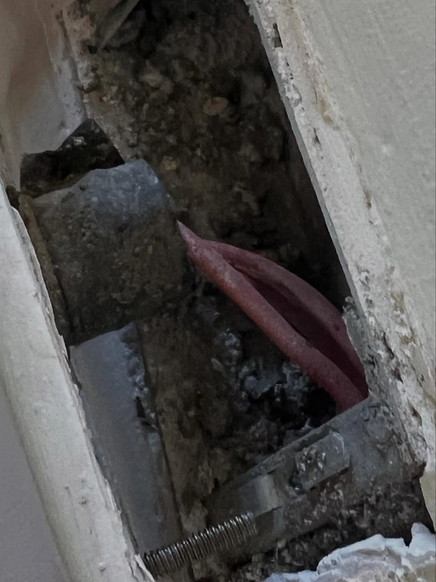 Poor old girl&hellip;she has old cotton covered wiring which means she gets a full electrical makeover!  Fire safety means rewiring of the house and making her modern and fit for the future. Exciting times as now construction has really started.  Hap