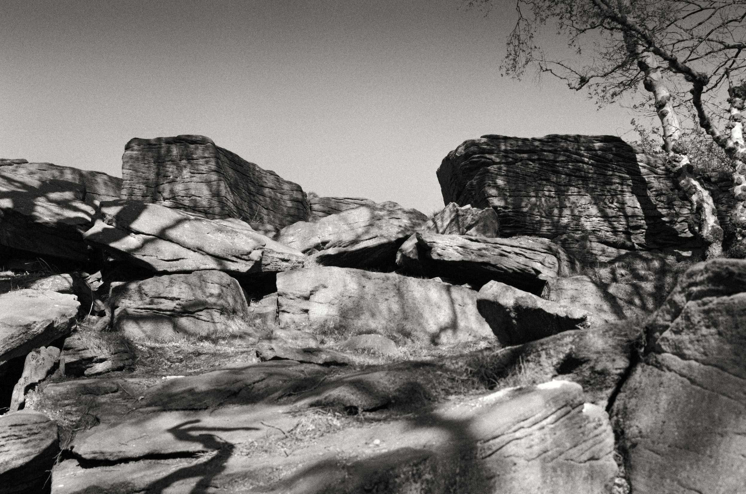 black and white photographic image of an atmospheric rockscape with shadows falling onto the rocks and a silver birch tree reaching in on the right hand side