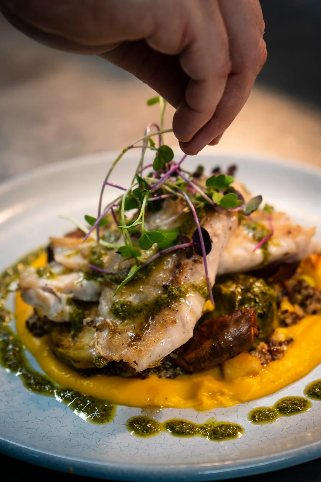Close-up of a hand adding microgreens to a plated dish with cooked fish, yellow puree, and green sauce garnishes.