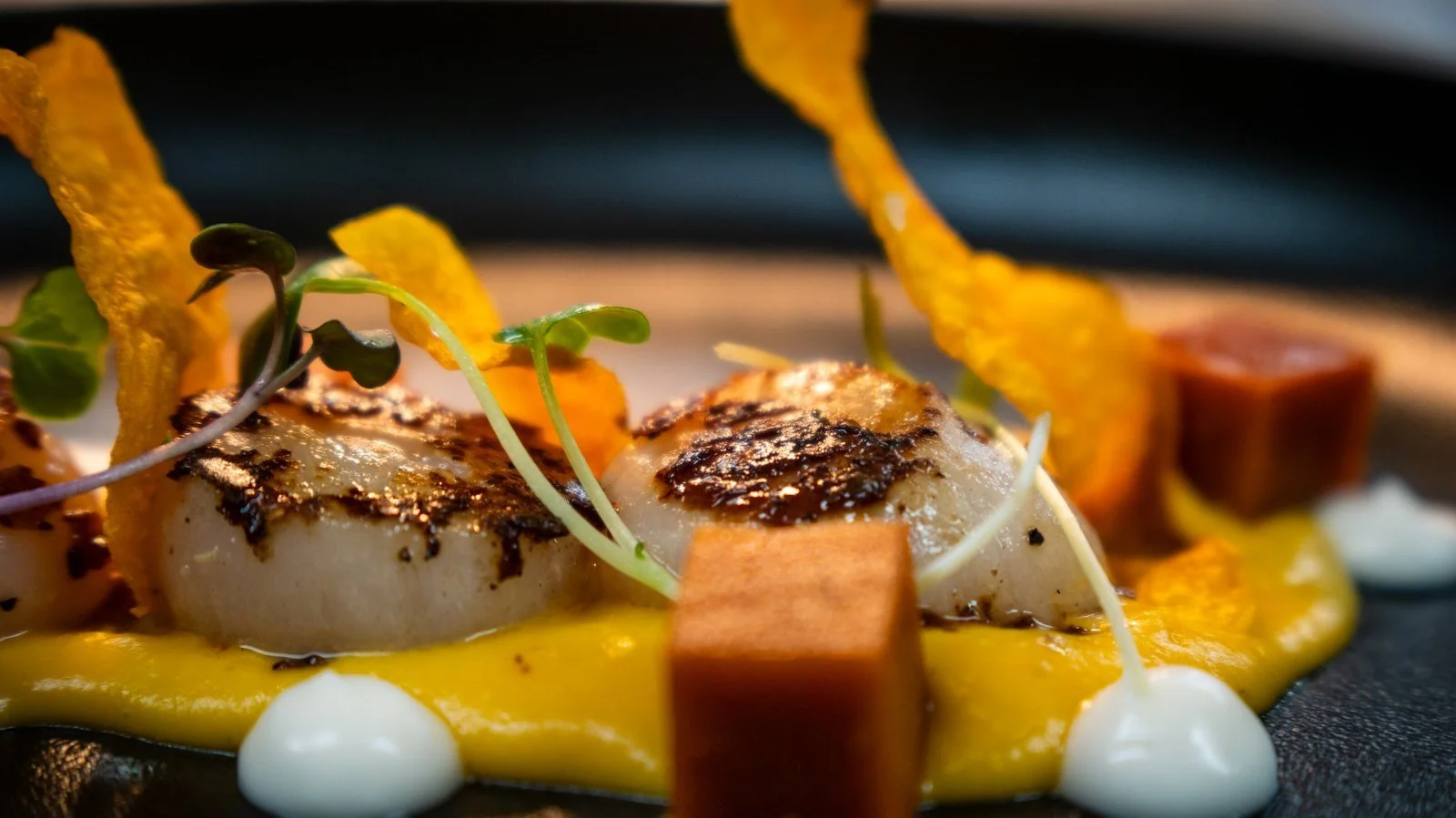 A gourmet dish featuring seared scallops with a golden crust on top, garnished with microgreens, crispy yellow chips, and small brown cubes, all arranged on a smooth yellow sauce with white dollops on a dark surface.