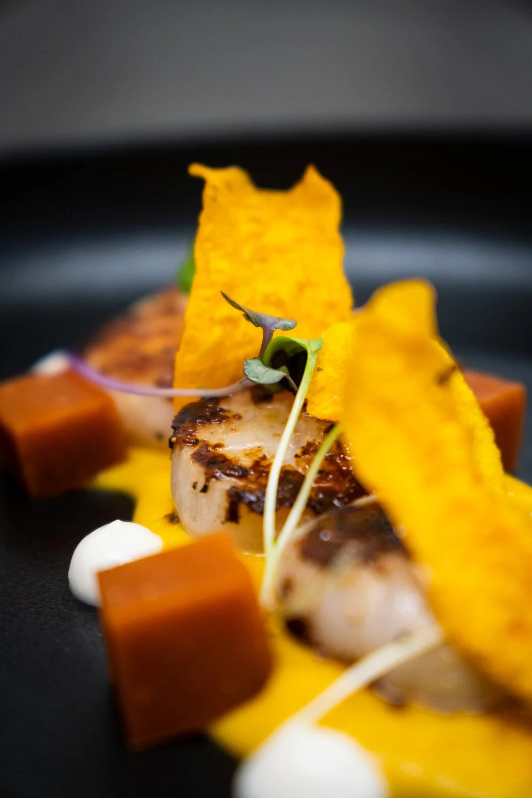 Close-up of a gourmet dish with grilled scallops, crispy potato chips, sauce dots, microgreens, and small diced vegetables on a black plate.