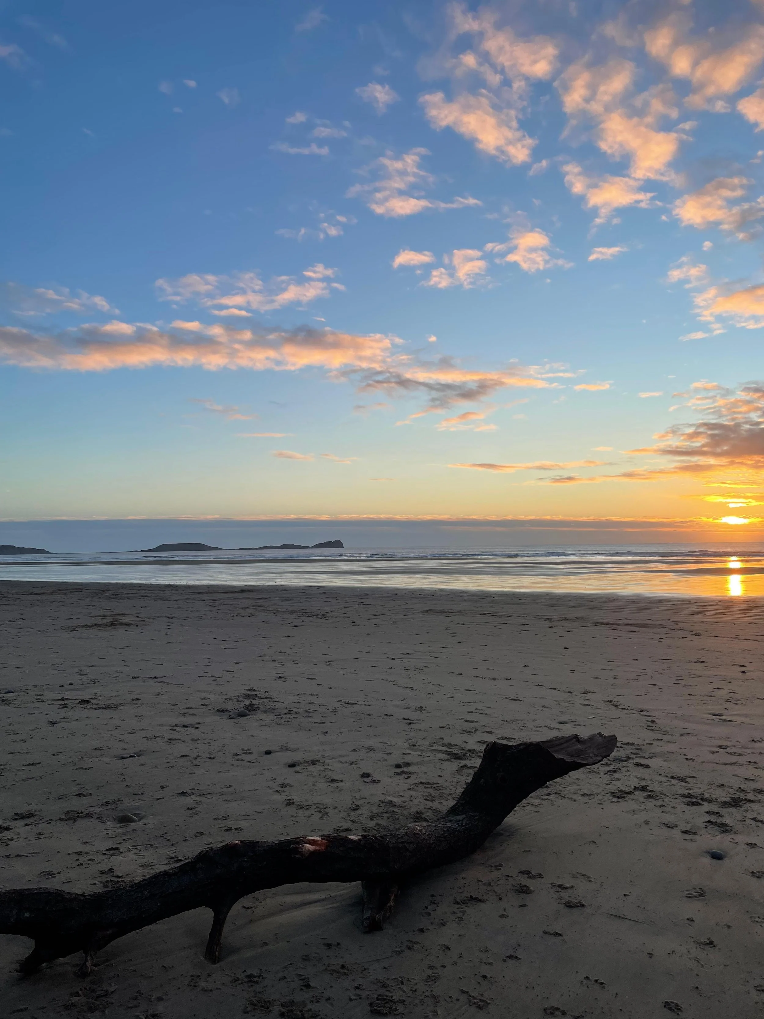 Serene beach at sunset with driftwood, calm ocean waves, and a colorful sky.