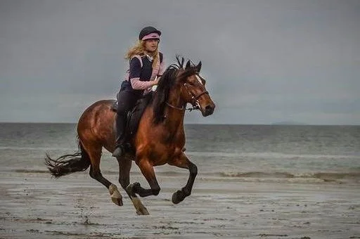 Person riding a horse on a beach