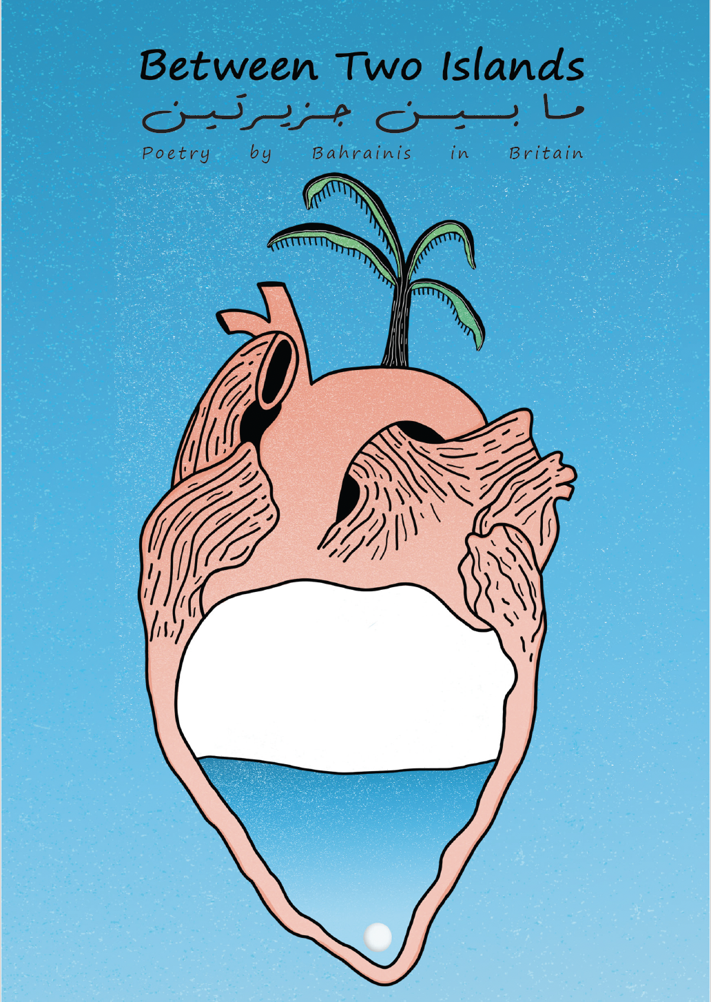 Screenshot 2025-01-04 at 11.56.38 AM.png