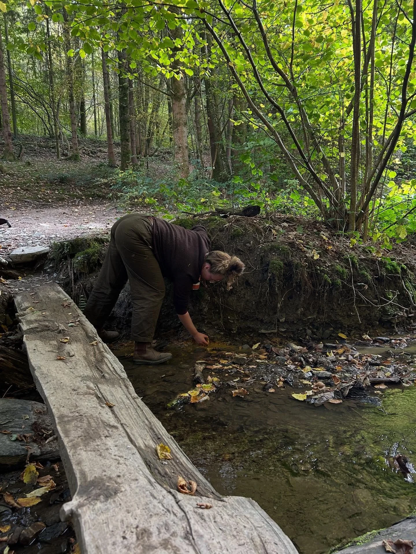 Een verzameling van veel moois van dit herfst weekend met @outdoorschool.be &amp; vooral de prachtige @zoe.wildtribe &amp; @mireille_feelyournature 🤍

Een bos waar van alles kon verzameld worden, mooie kleuren, rituelen, blaadjes, levenslessen, denn