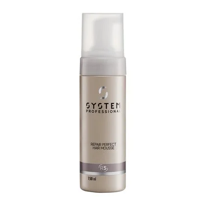 420Wx420H-System-Professional-Repair-Perfect-Hair-150ml-PI-1