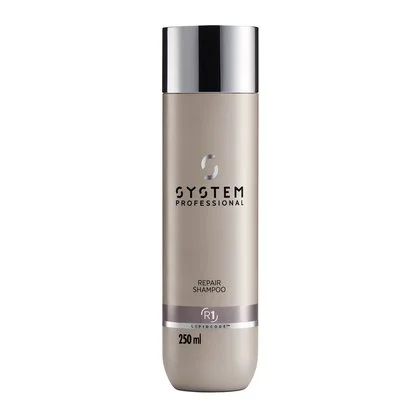 420Wx420H-System-Professional-Repair-Shampoo-250ml-PI-1