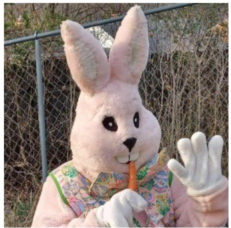 EasterBunny.jpg