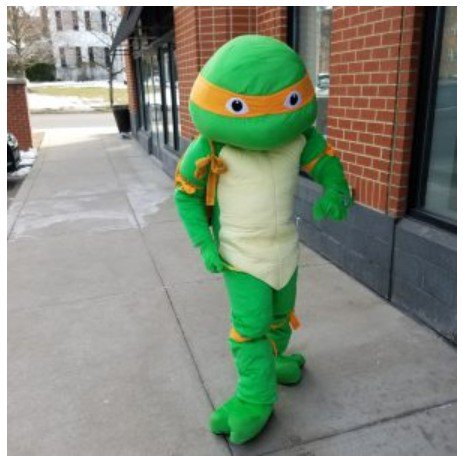 Ninja Turtle.jpg