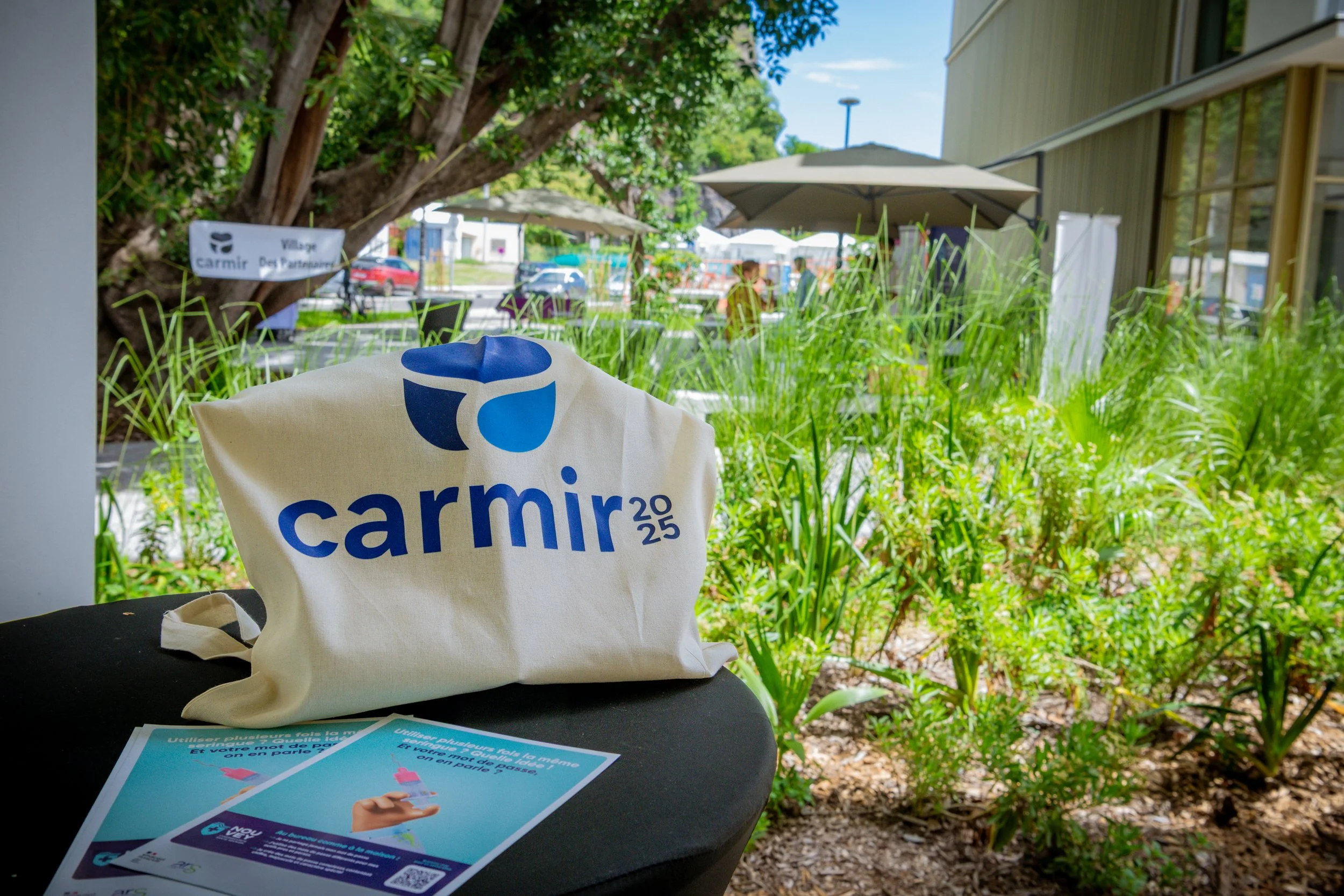 carmir -DSC_5379.jpg