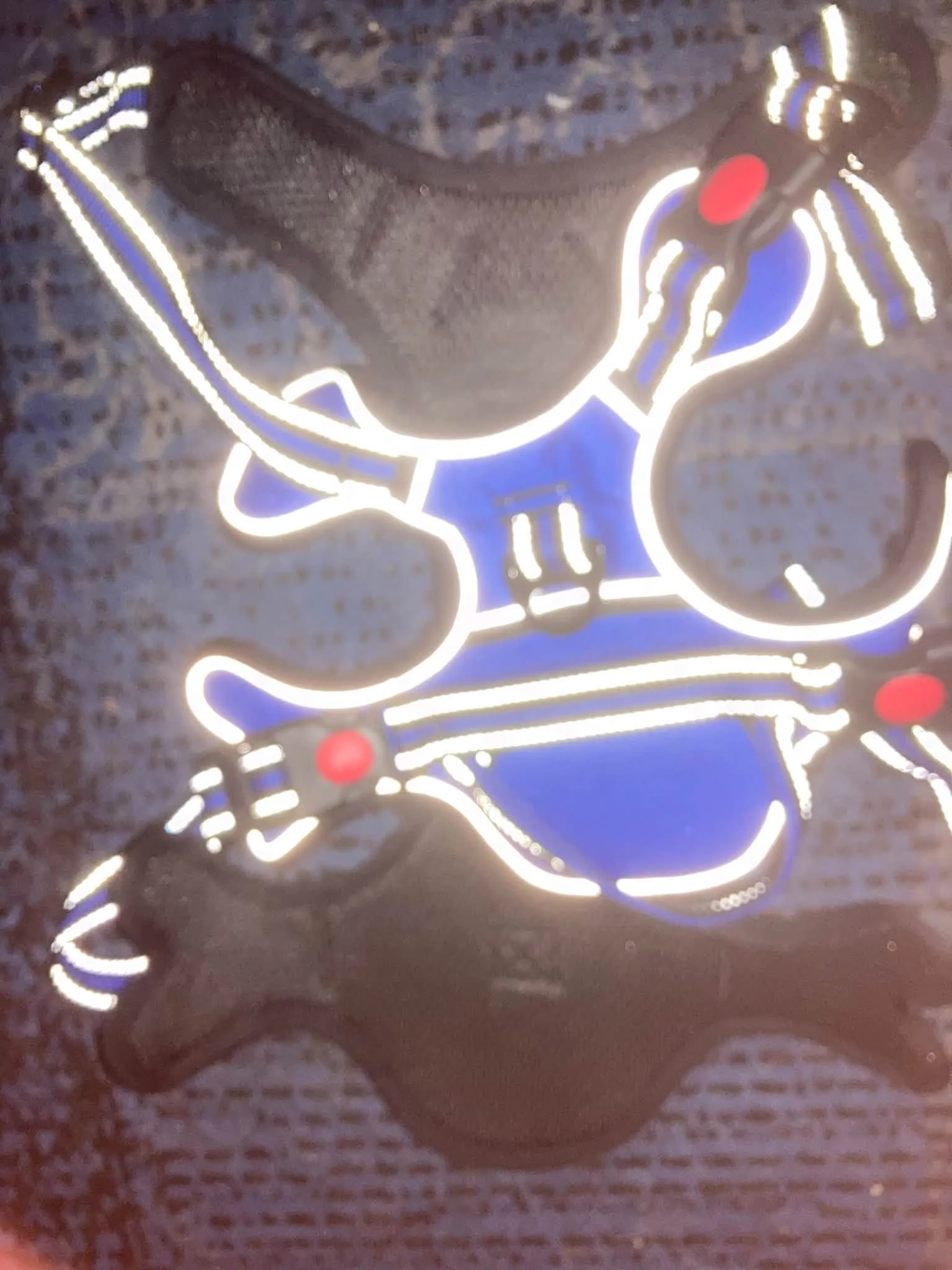 Large blue harness.jpg