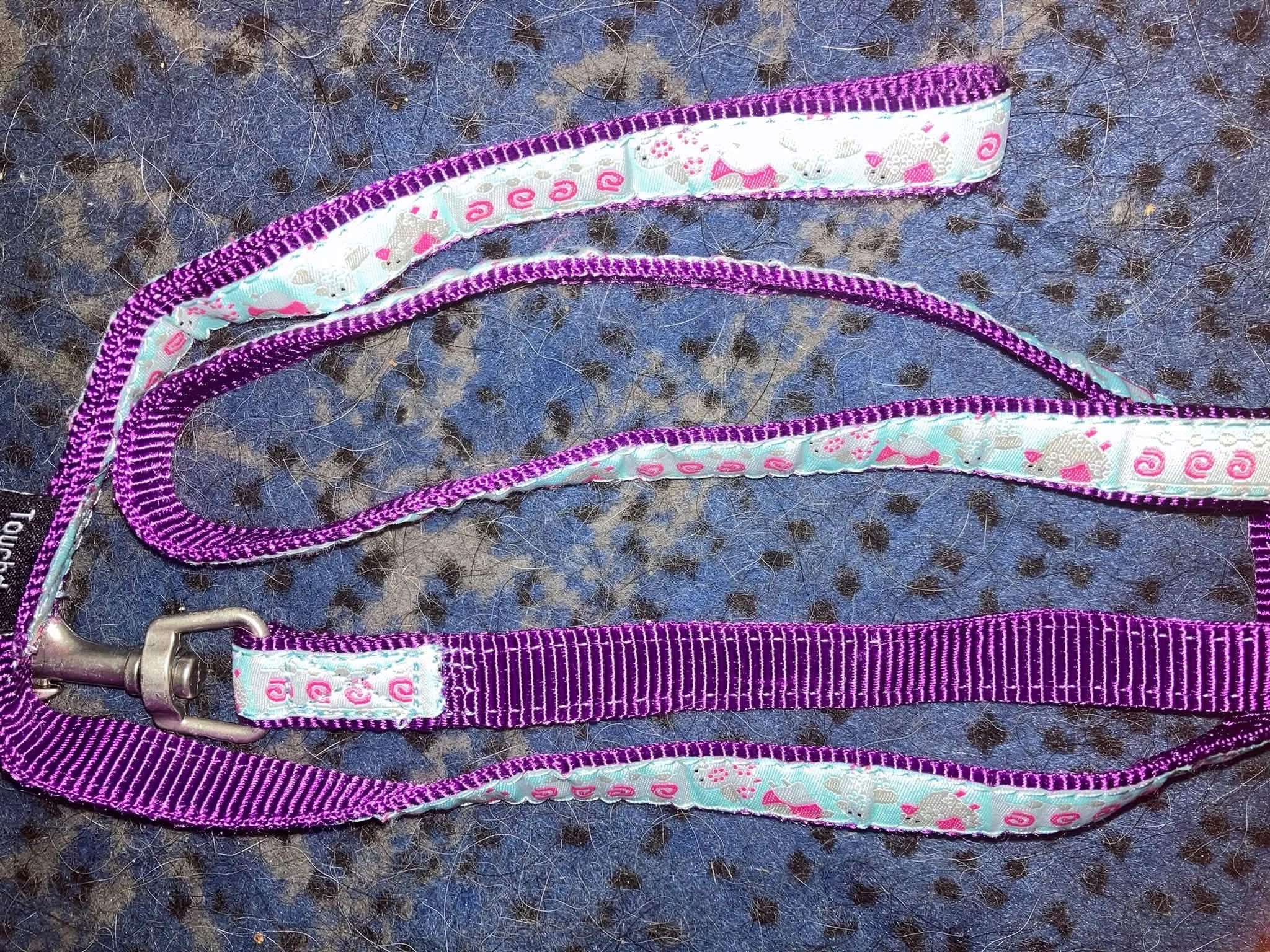 One Ancol lead for small breed dogsorcats.jpg