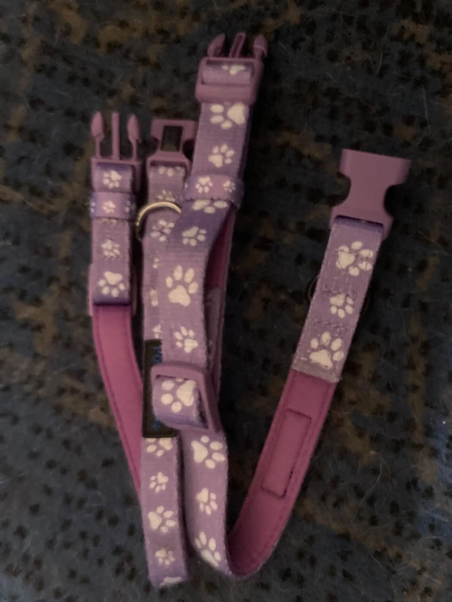 One small lilac collar with paws, one medium lilac collar with paws.jpg