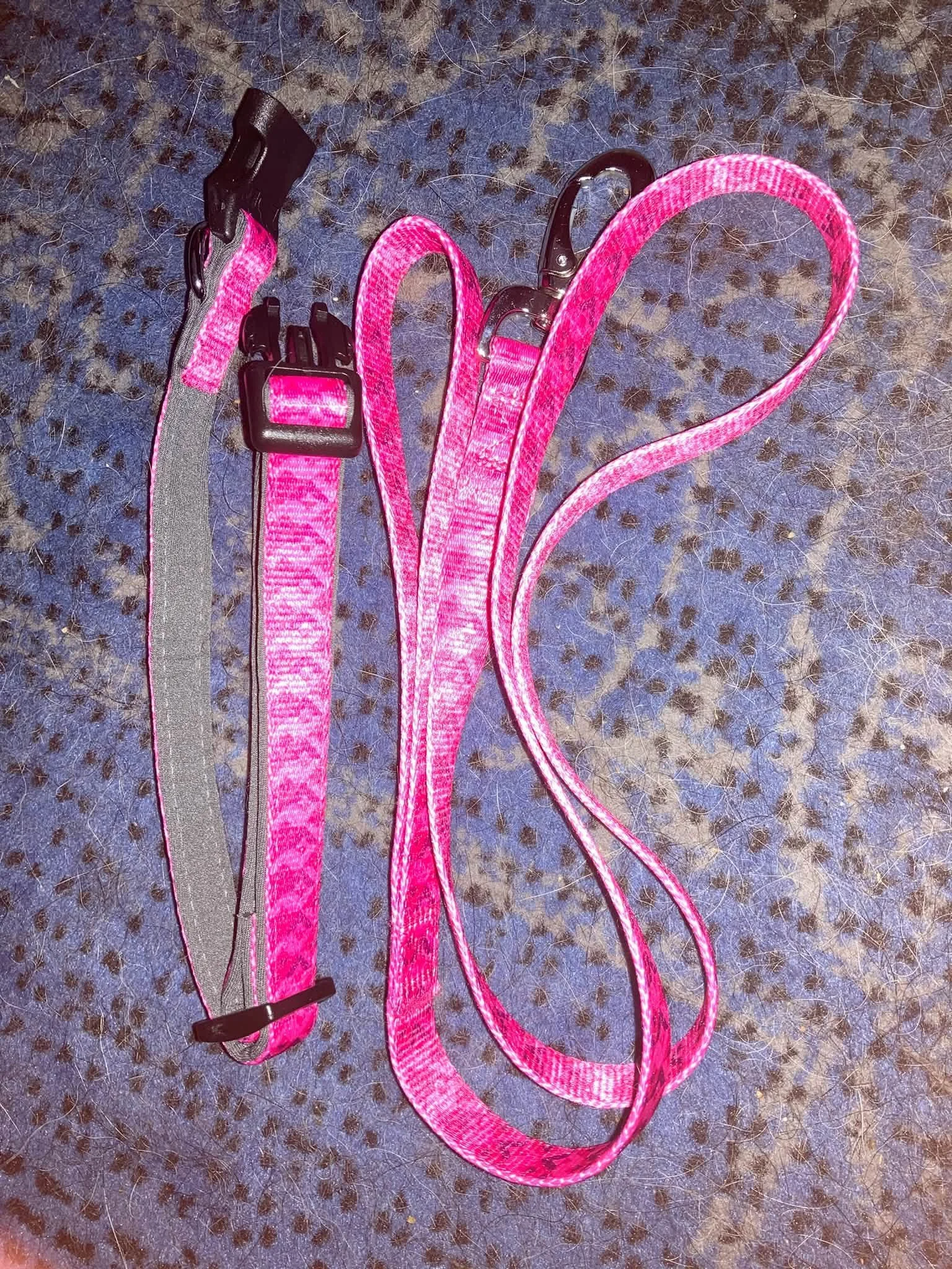 Pink collar and lead set, medium.jpg