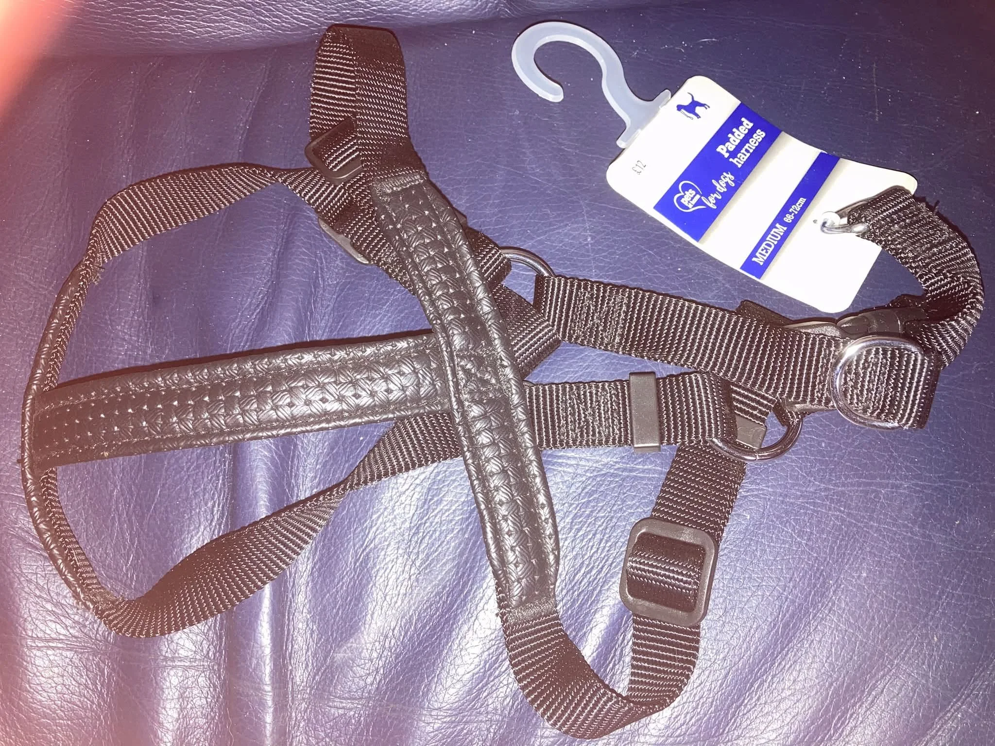 strap style harness with leather cushion straps, small.jpg