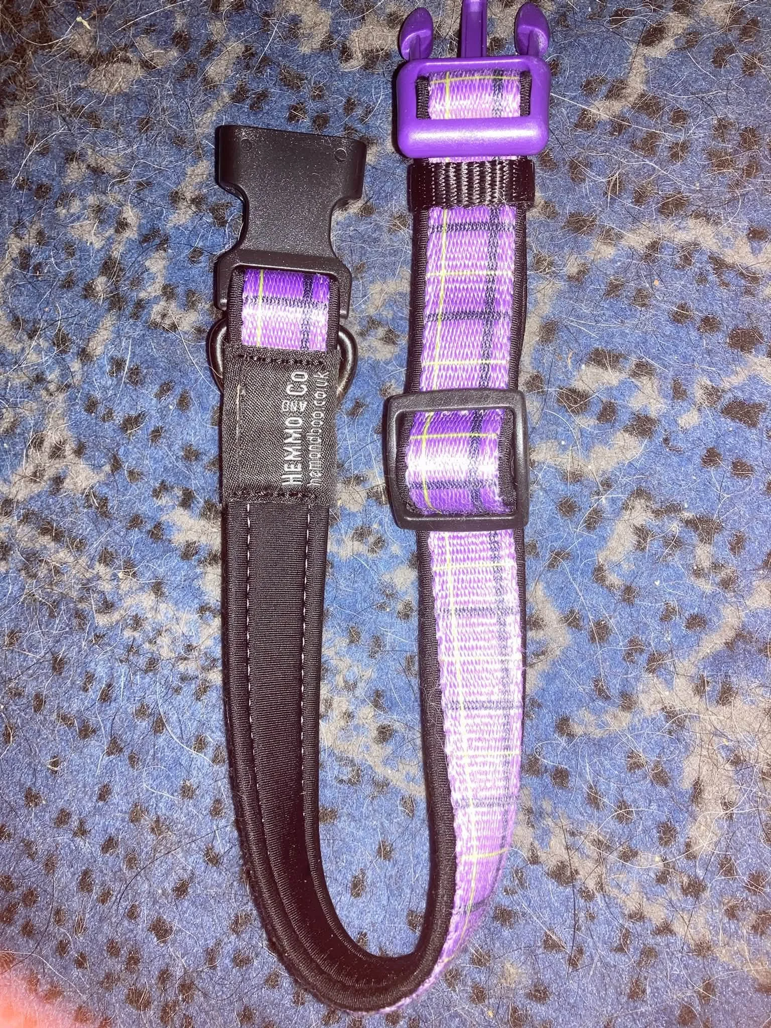 Purple tartan collar medium.jpg