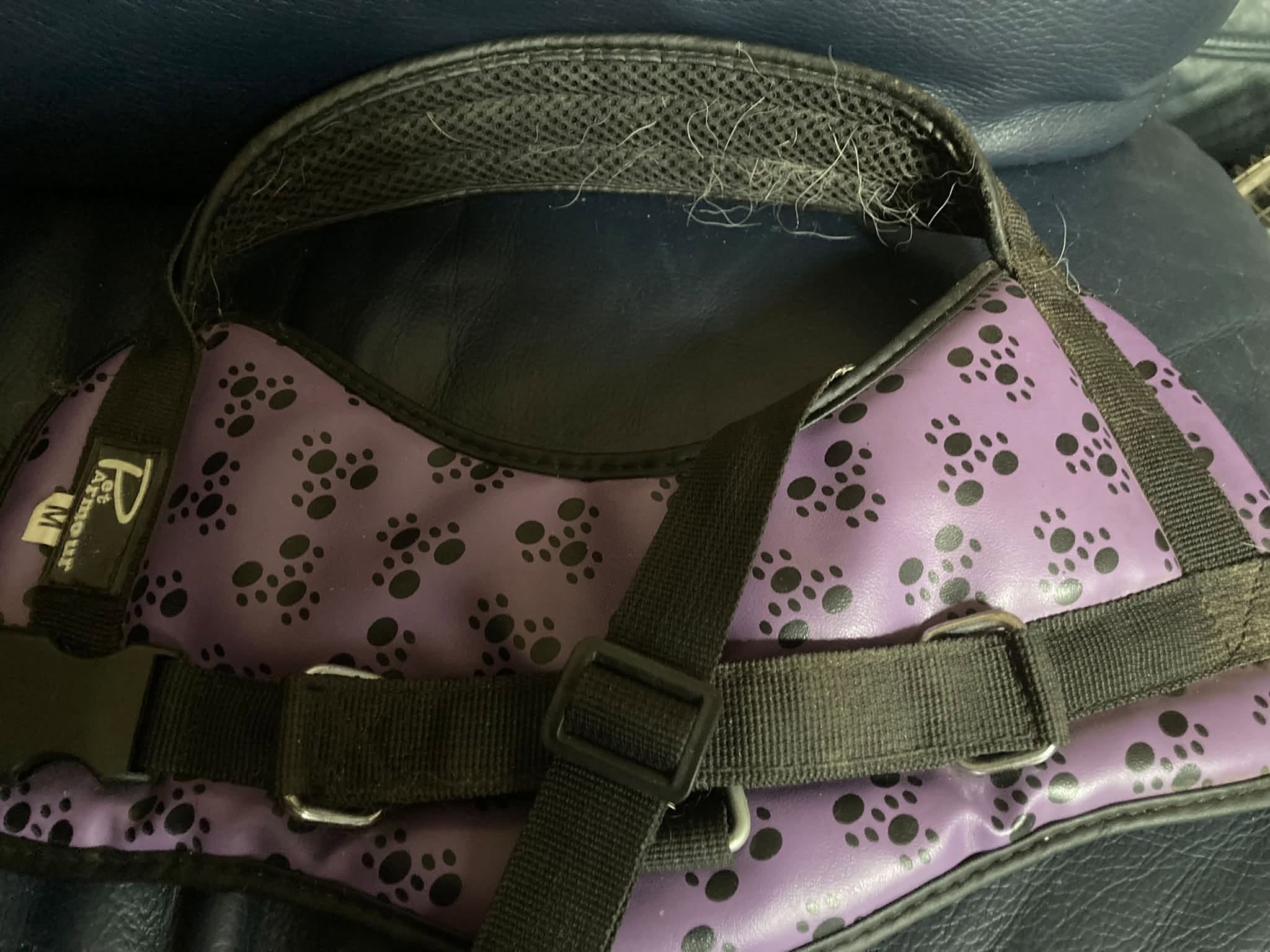 Lightly used medium purple harness with black paw design.jpg