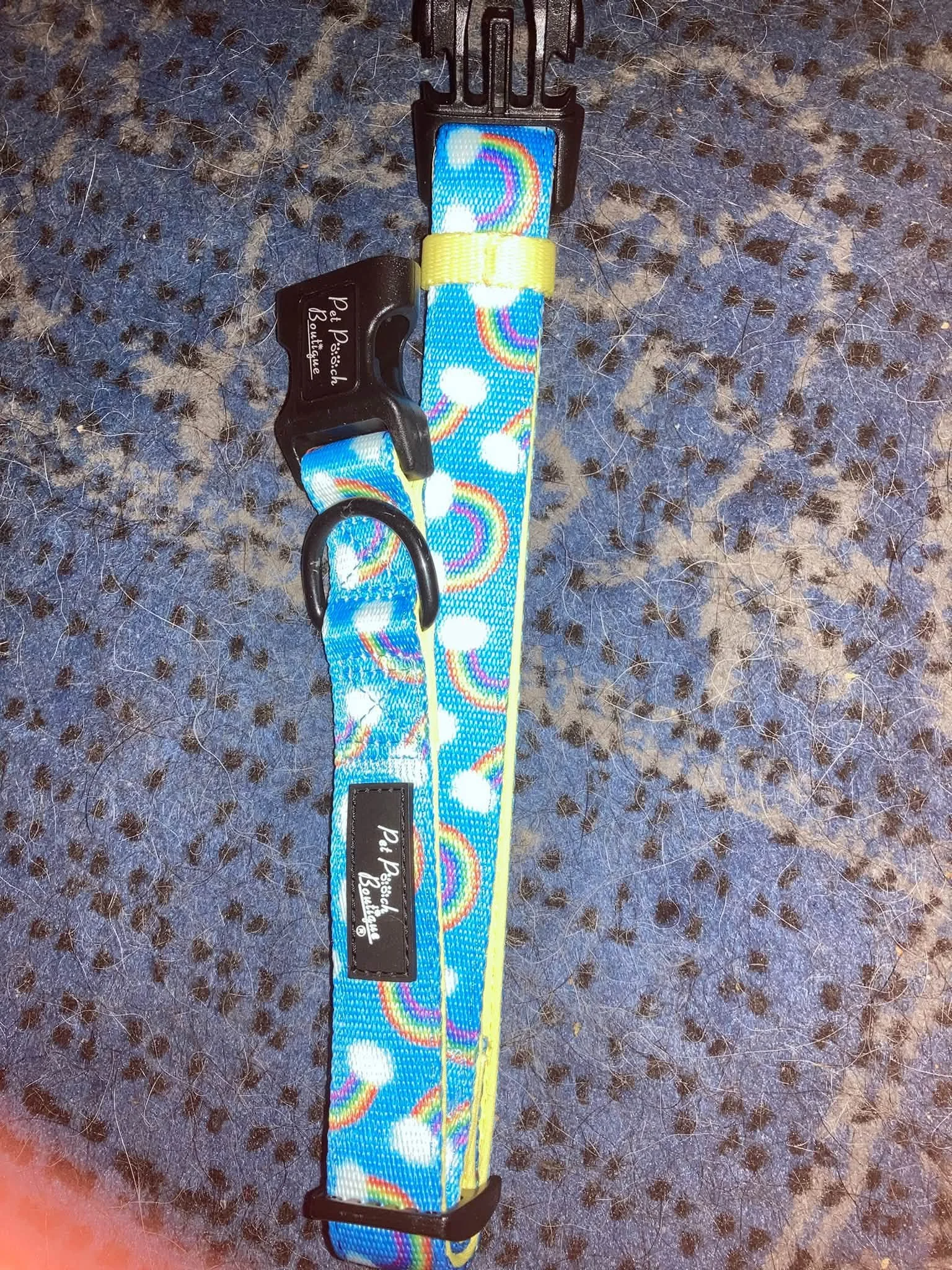 medium to large blue rainbow collar.jpg