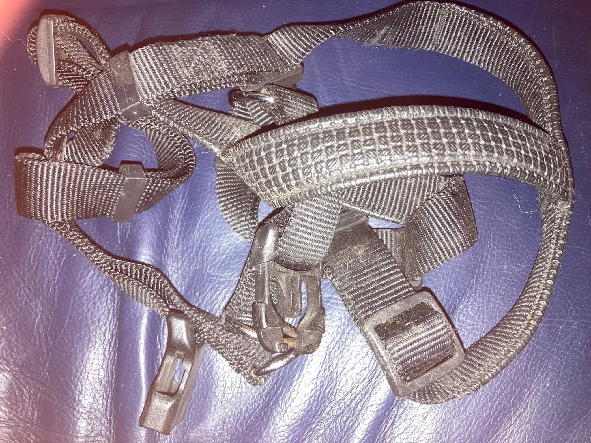 Never used strap style harness with leather cushion straps, medium.jpg