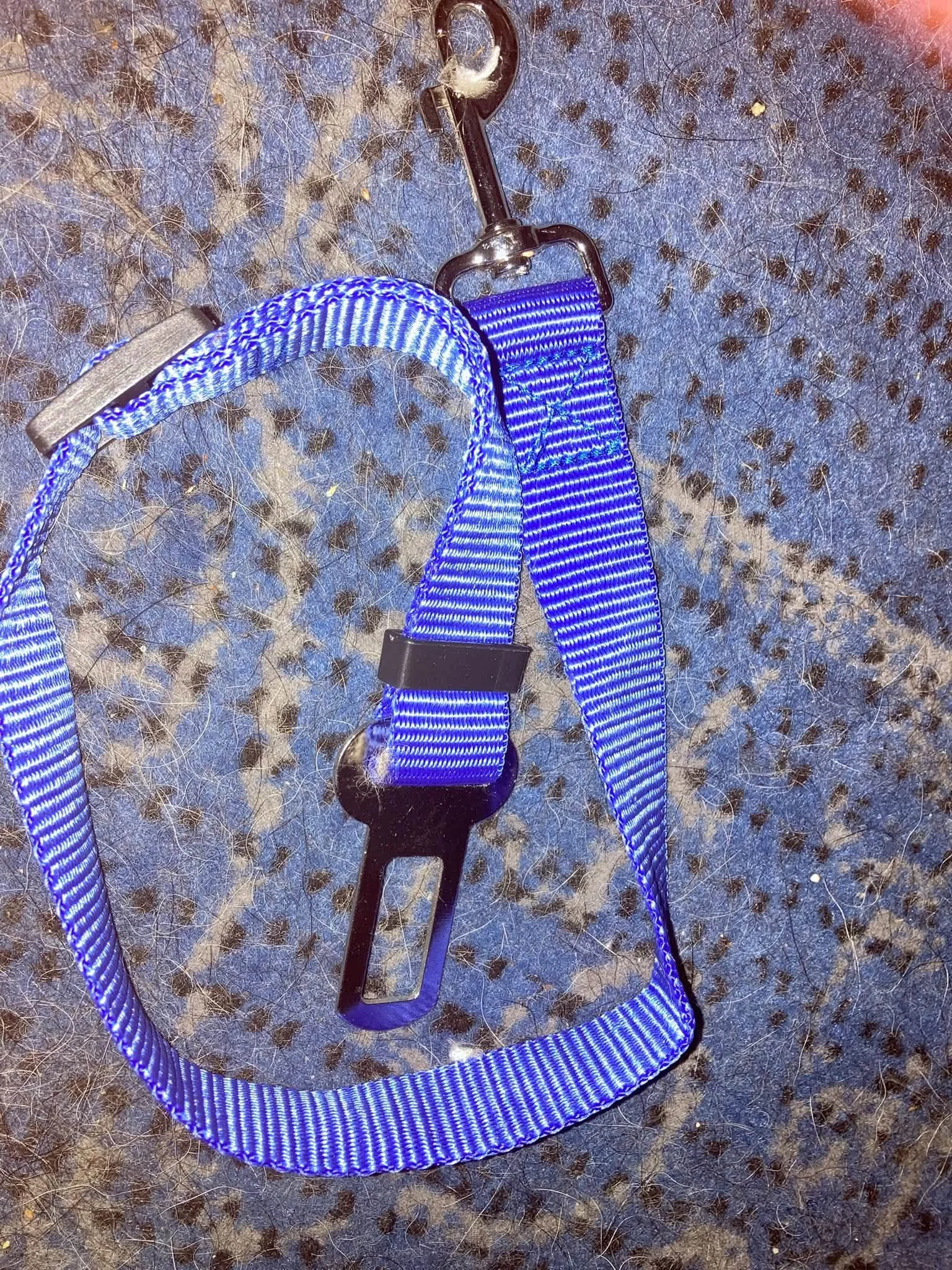 bluie seat blet clip.jpg
