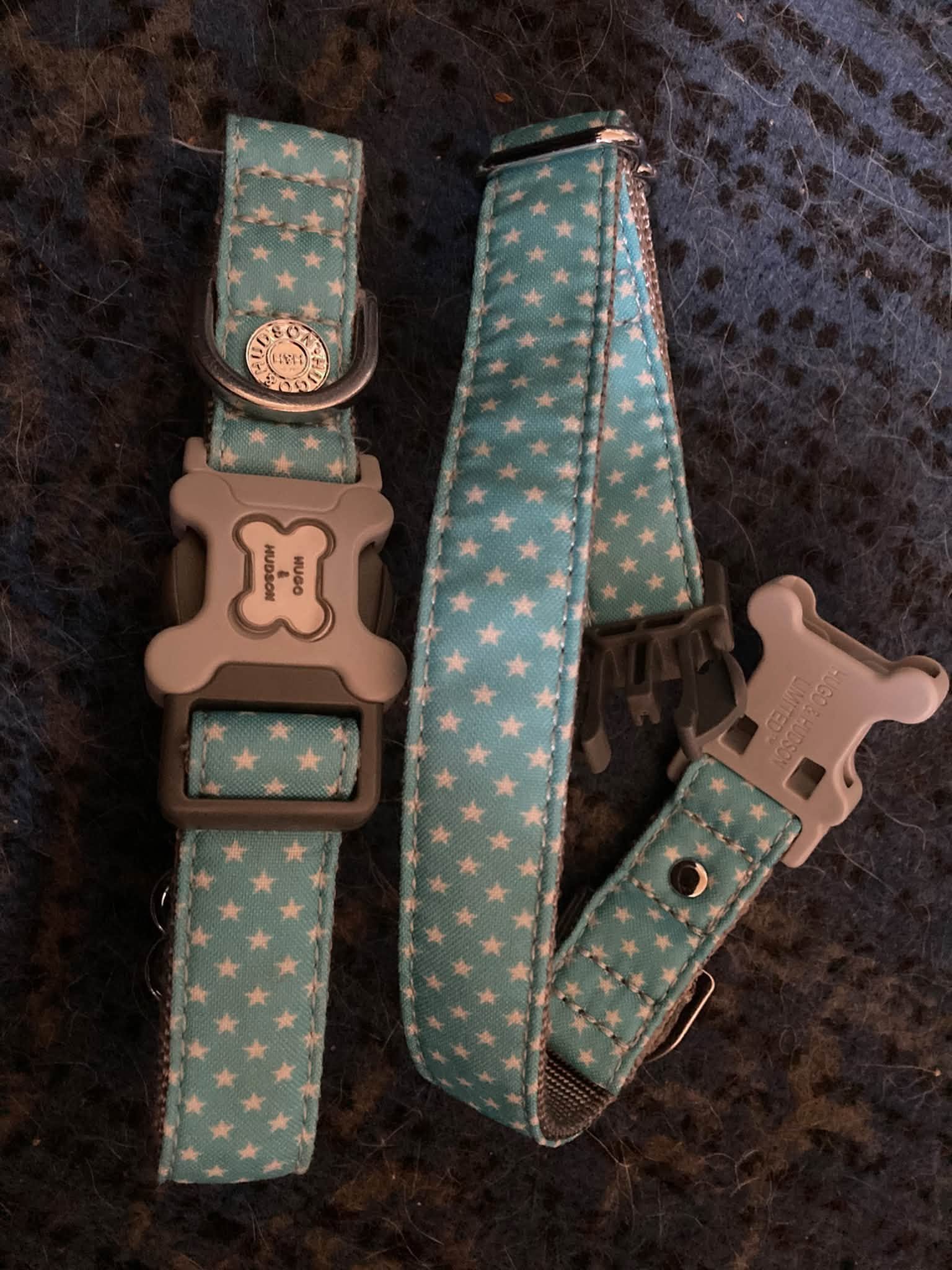 Two identical Hugo and Hudson collars, turquoise with stars, medium.jpg