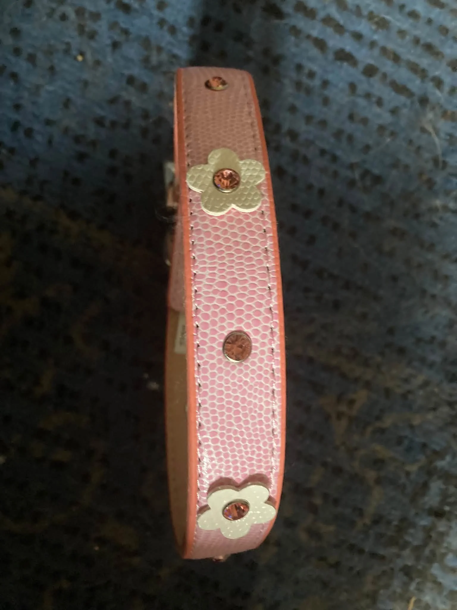 pink collar.jpg