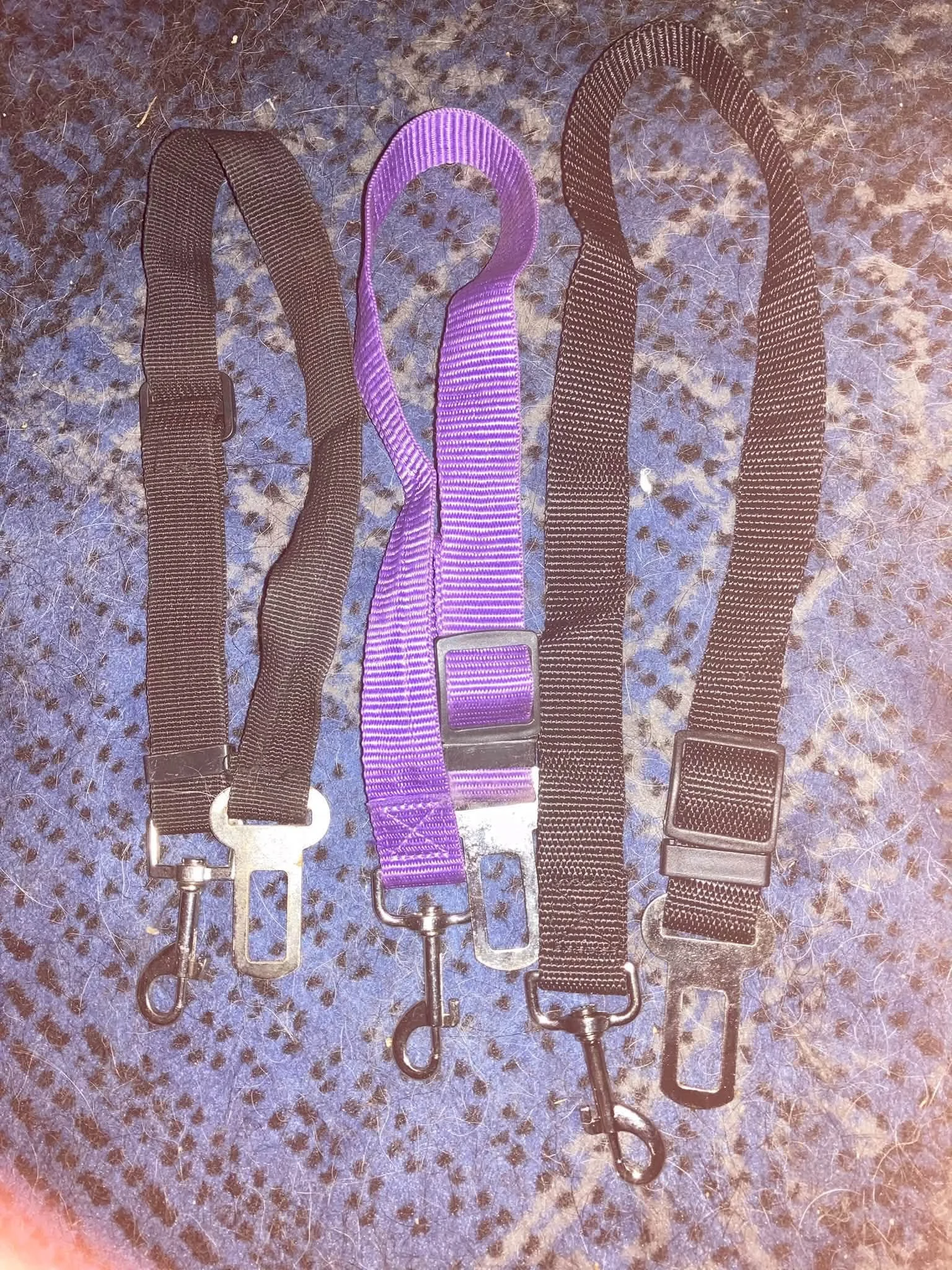 seatblet clip.jpg