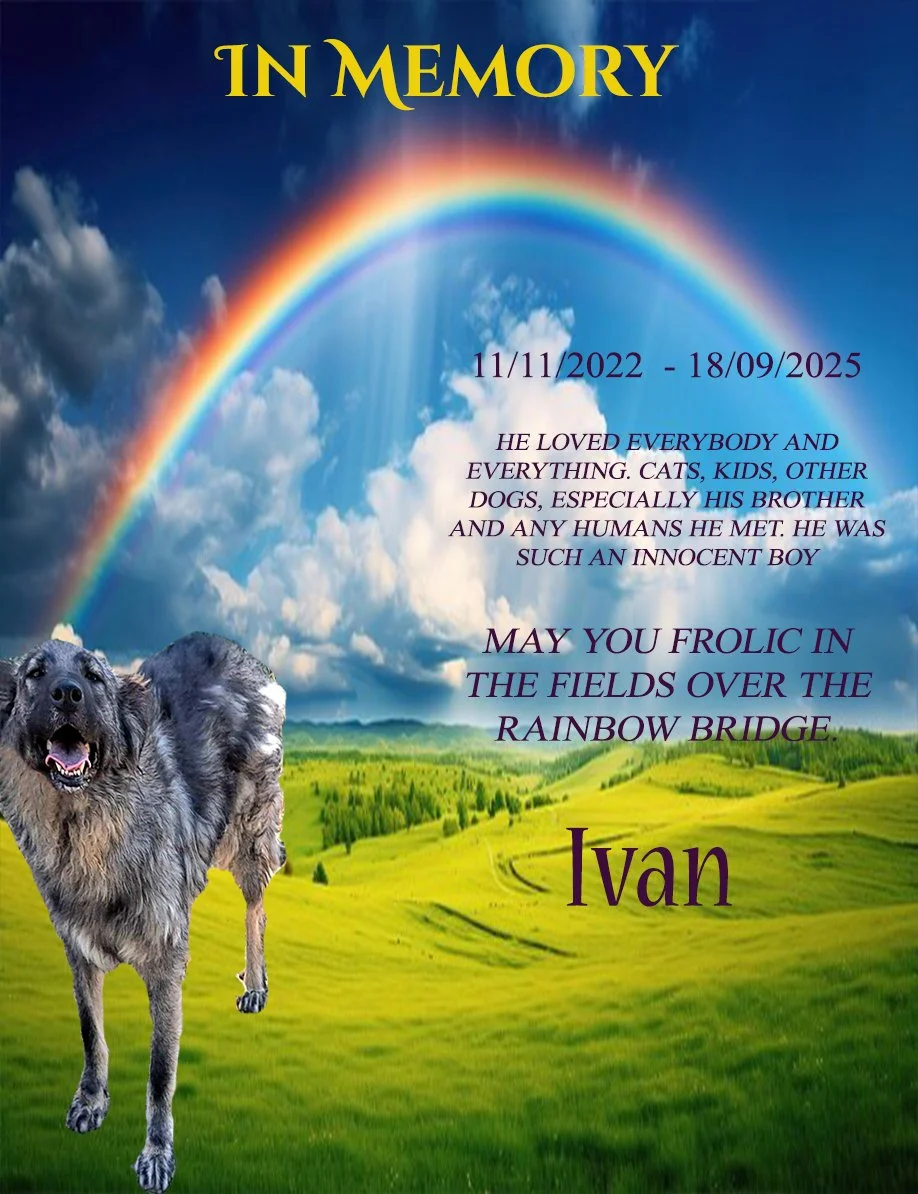Ivan memorial.jpg