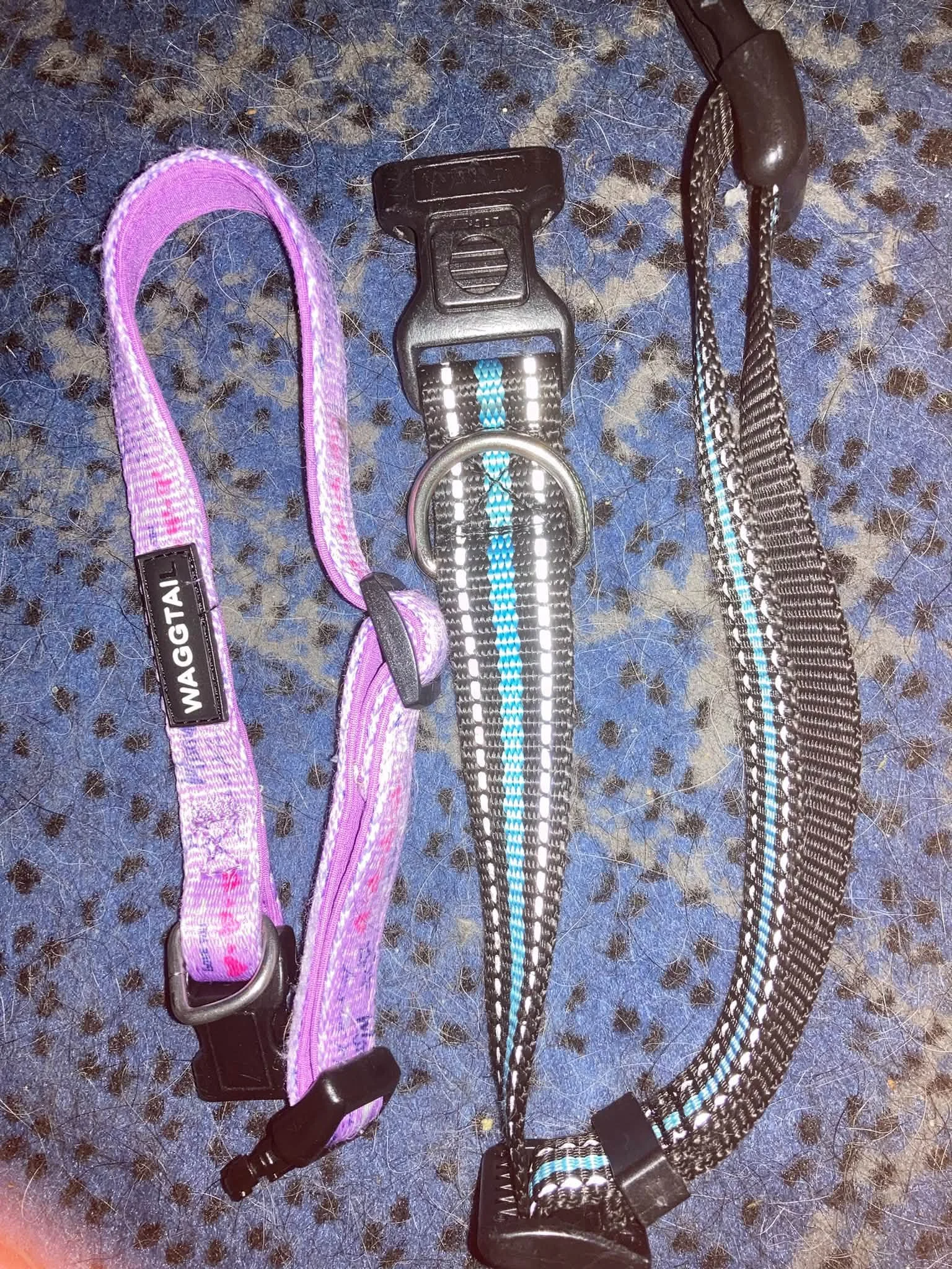 Small purple, heart collar, medium, green and black collar.jpg