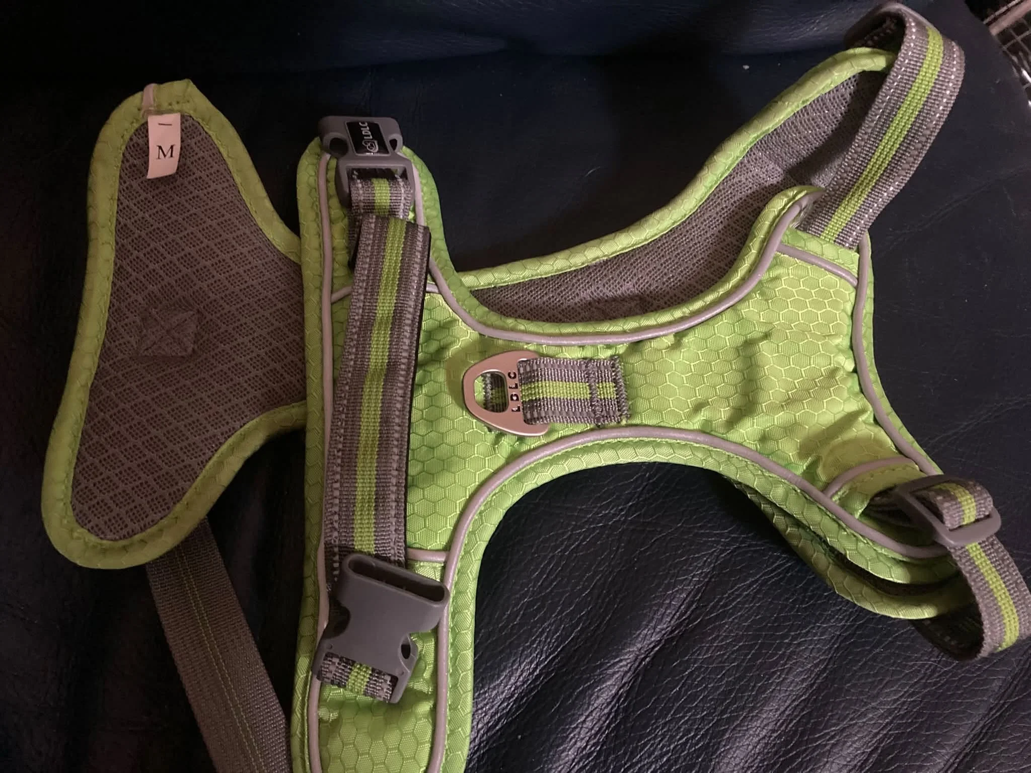 UV light green smallmedium harness.jpg