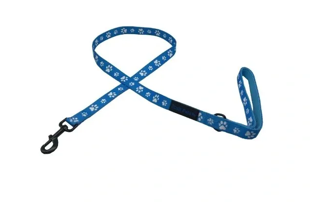 Nylon Puppy and Dog Lead blue.png