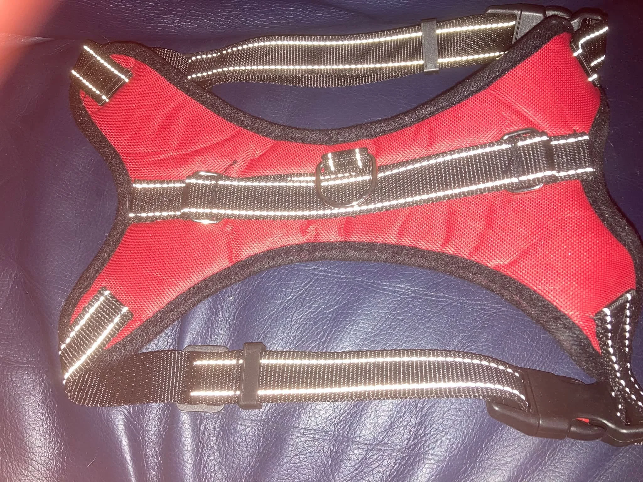 Red medium harness.jpg