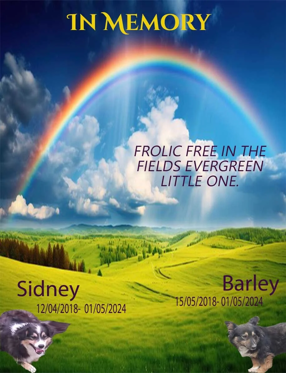 Barley sidney  memorial.jpg