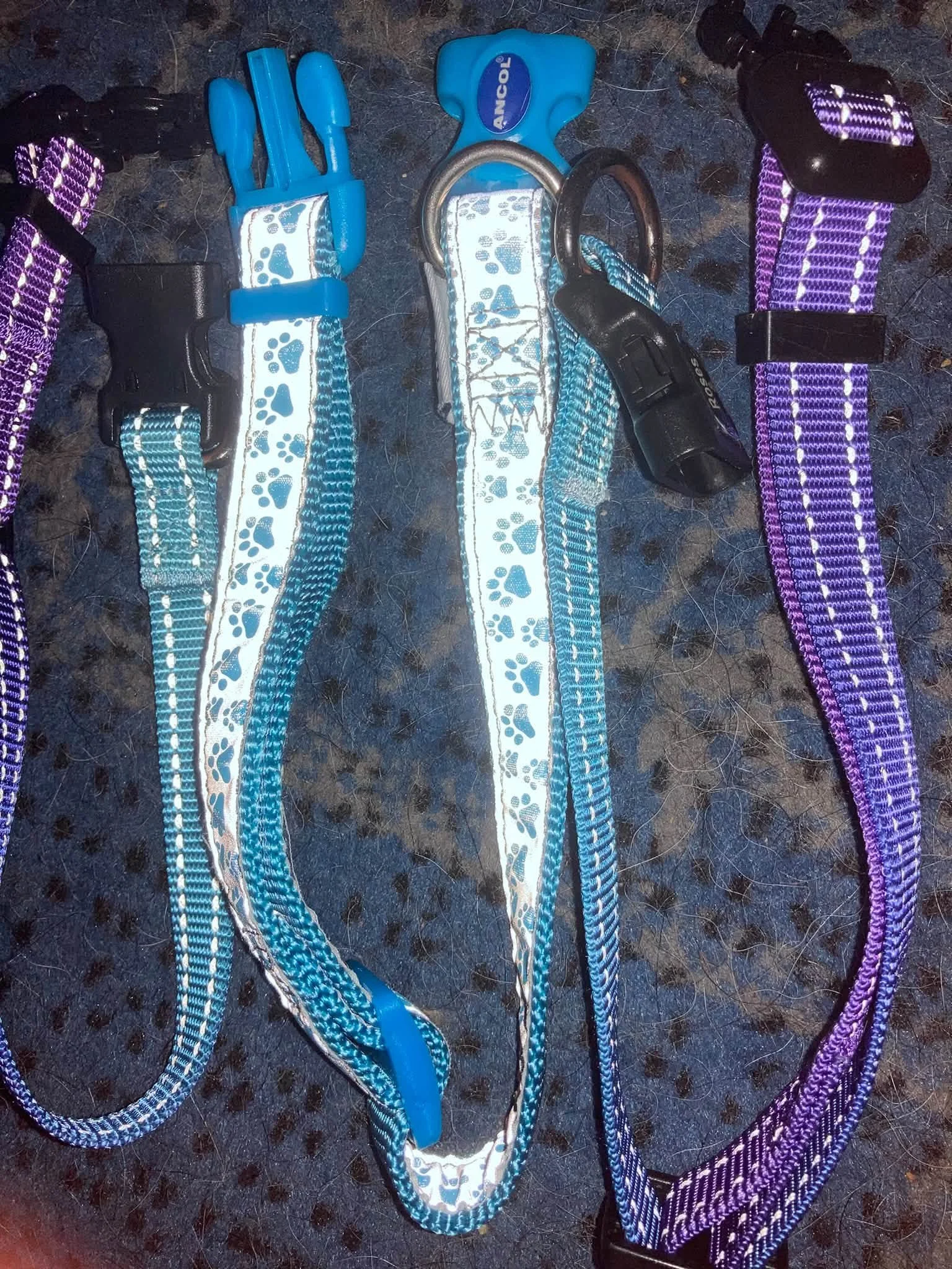 Left to right one collar that goes from teal to purple, one turquoise, ultraviolet, responsive collar, one medium collar that goes from teal to purple.jpg