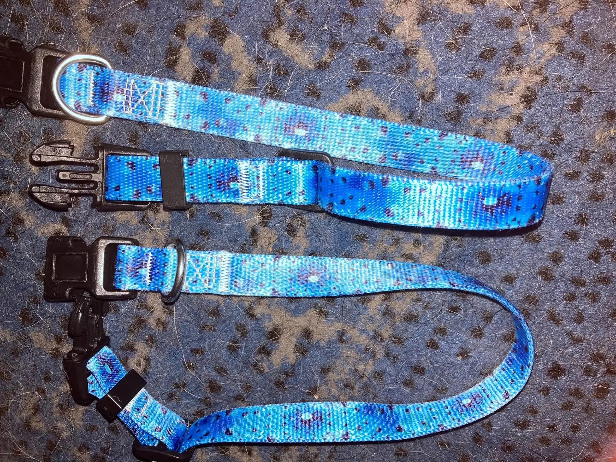 Two identical smallmedium collars.jpg