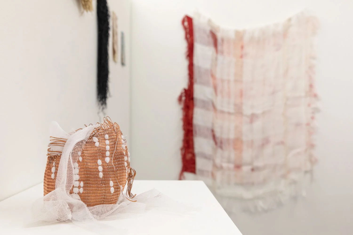 Installation view: "shape_shifting_support_systems," July 14 - August 27, 2022, Praise Shadows Art Gallery, Brookline, MA. All artwork © the artists. Photography by Dan Watkins for Praise Shadows Art Gallery.