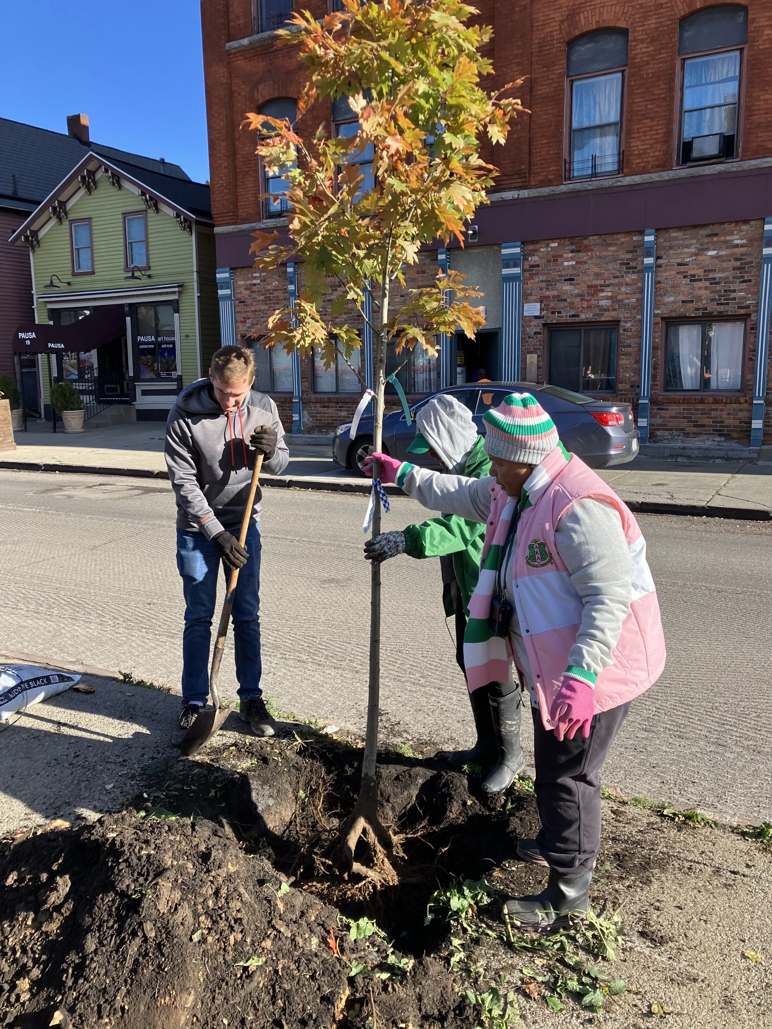 Tree maintenance