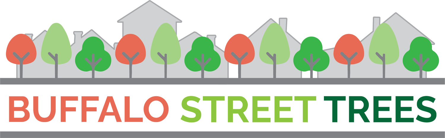 Buffalo Street Trees