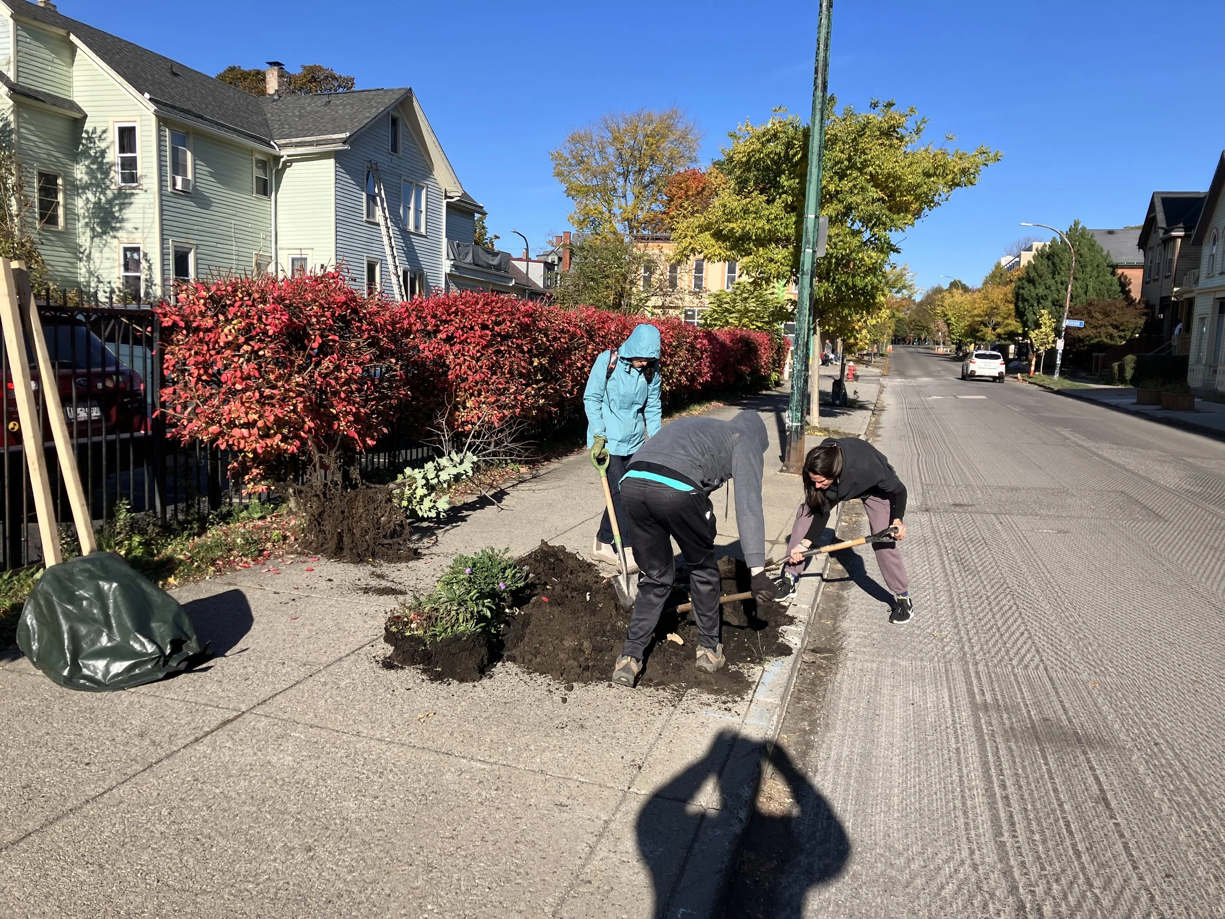 Re-Tree Planting Event- November 1st, 2025