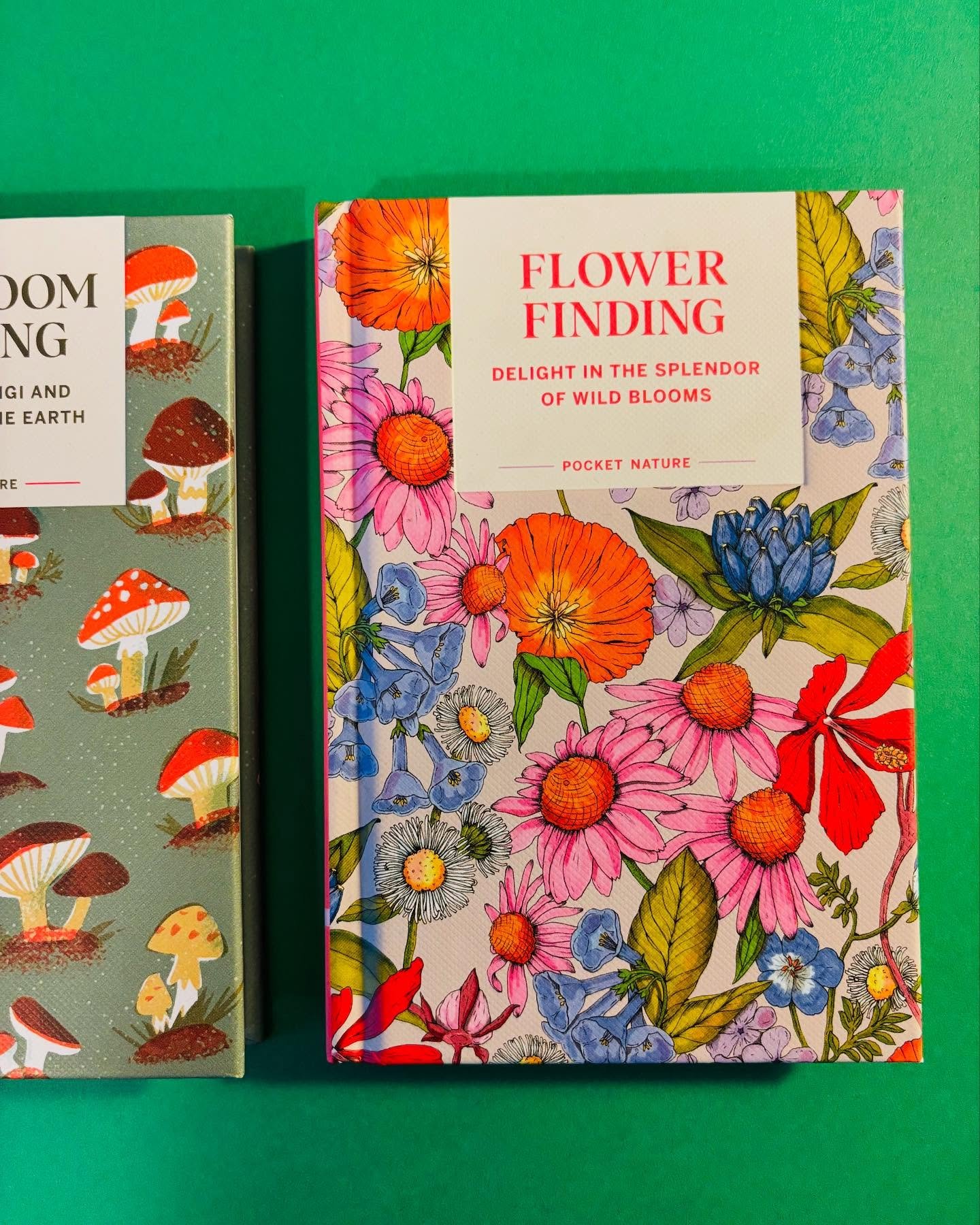Whether you are flower finding or mushroom hunting, these cute little pocket nature guides are a must! 🌻🪻🌸🍄🍄&zwj;🟫 

The mini shop is open! 1-5PM today! We are located in the hallway of our sister store Manga Manga - 5908 Hamilton Ave in Colleg