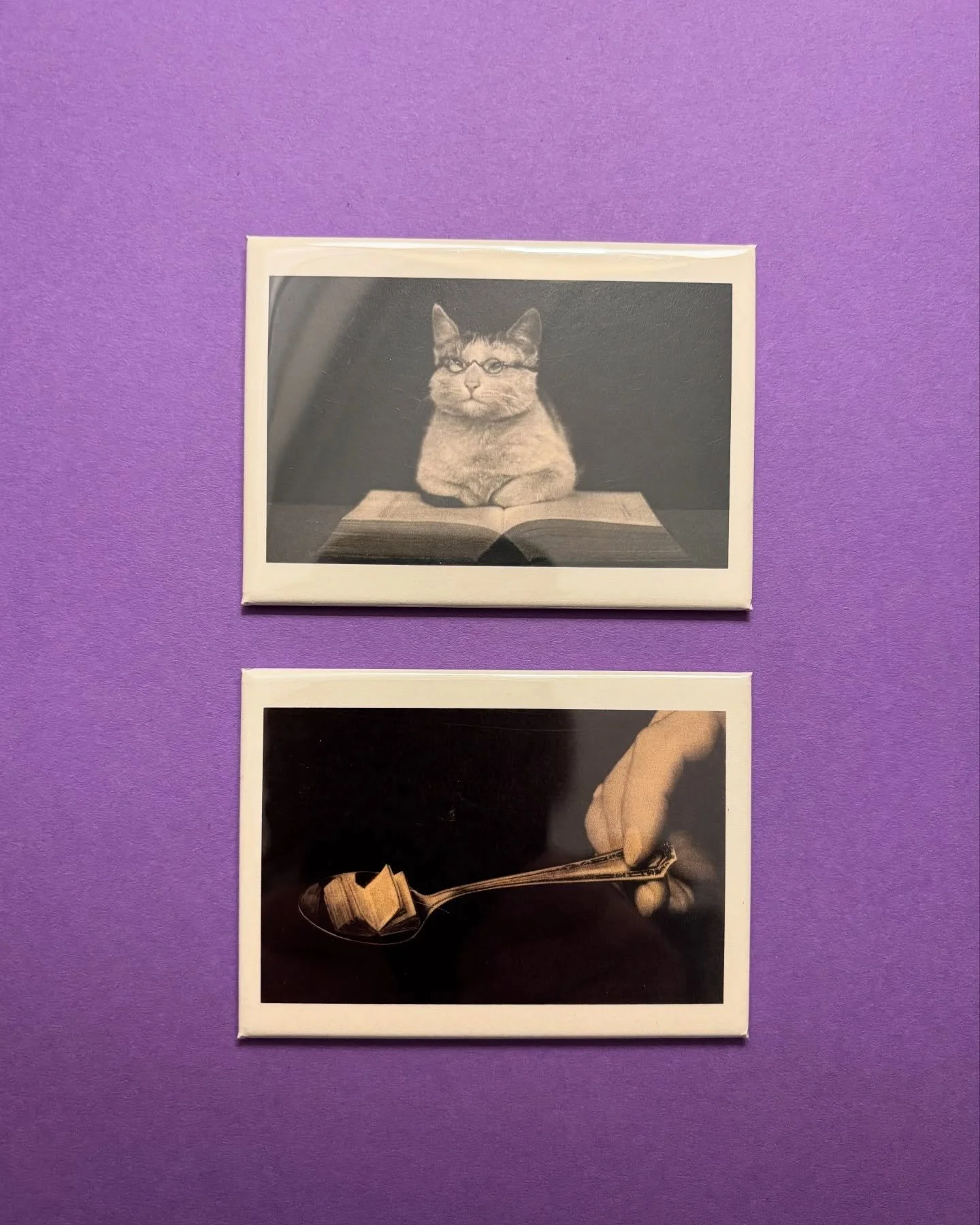 We LOVE to stock The Little Tiny Bookshop (new magnets in stock! yes, that is a little tiny book in a teaspoon 😂) BUT REALLY The LTB is about CUSTOM ORDERS. This holiday season, please consider ordering any new book you may get from a big box store,