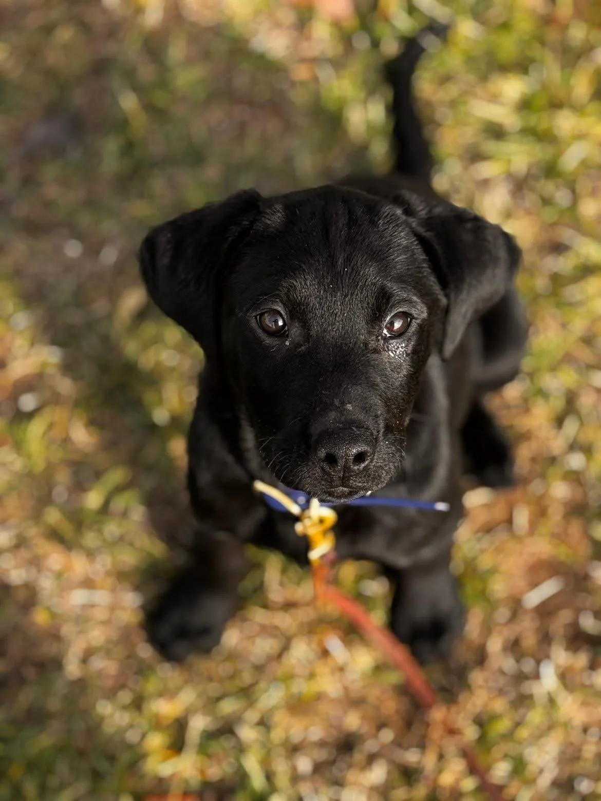 Hudson (Open for Applications)